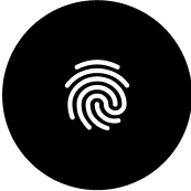 tick
